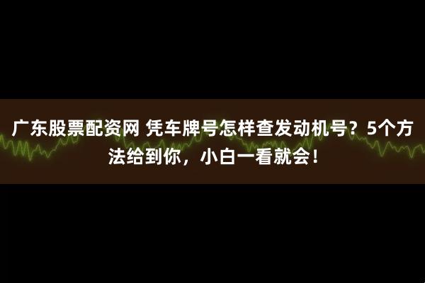 广东股票配资网 凭车牌号怎样查发动机号？5个方法给到你，小白一看就会！