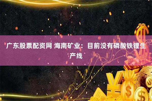 广东股票配资网 海南矿业：目前没有磷酸铁锂生产线
